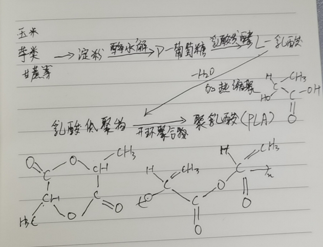 生物降解袋中的PLA是如何制得的？(圖2)